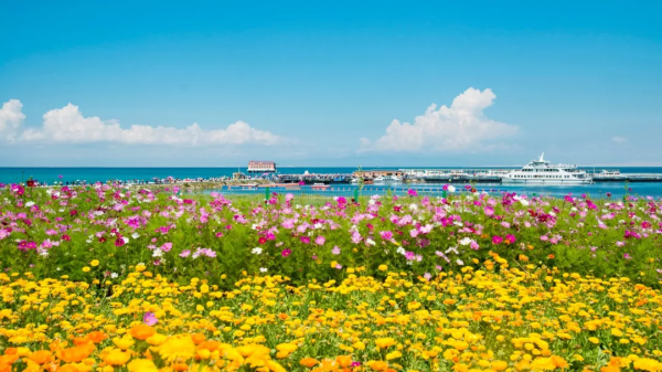 旅行是一種學問:做過這12件事,才算真的懂旅行 旅行是一種學問:做過這12件事,才算真的懂旅行