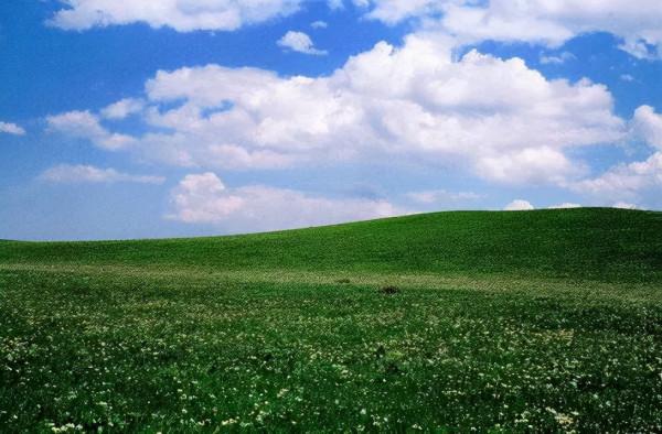 一天一個成語：蒲鞭示辱