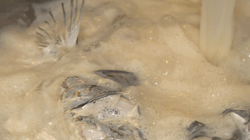 小年到,年來到!傳統習慣少不了,健康養生要記牢 小年到,年來到!傳統習慣少不了,健康養生要記牢