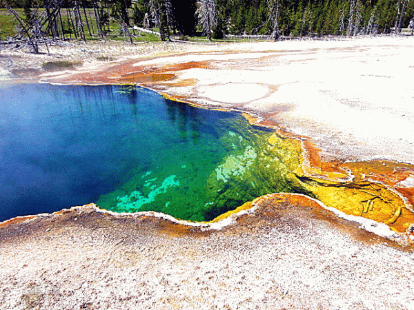 黃石公園：地球表面上最精彩、最壯觀的地質美景