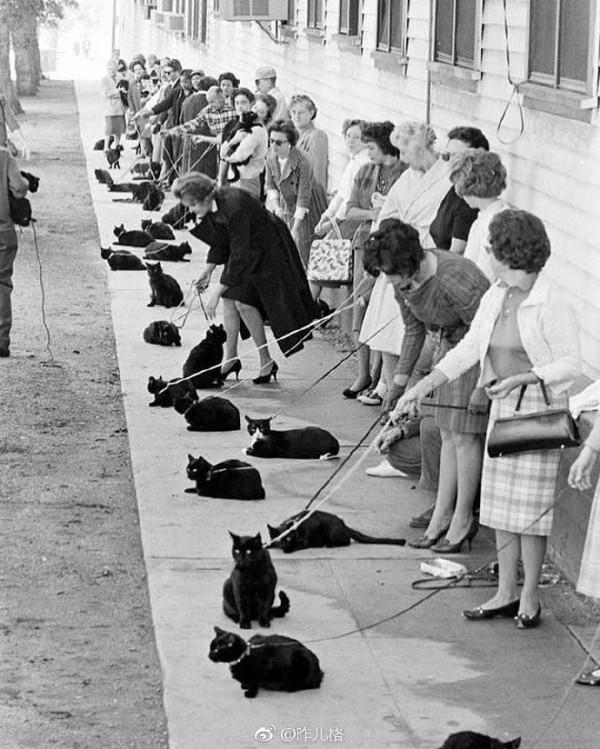 我在加拿大的的“危險街區”