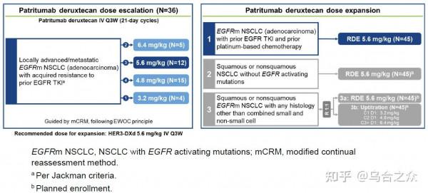 靶向治療耐藥後的新希望 HER3-DXd（1）