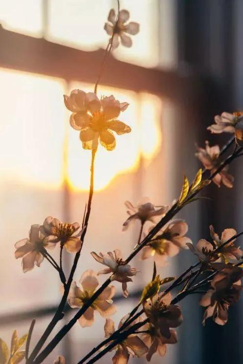 你看到的父母的恩愛，是真情，還是演戲？或是你的自認為？