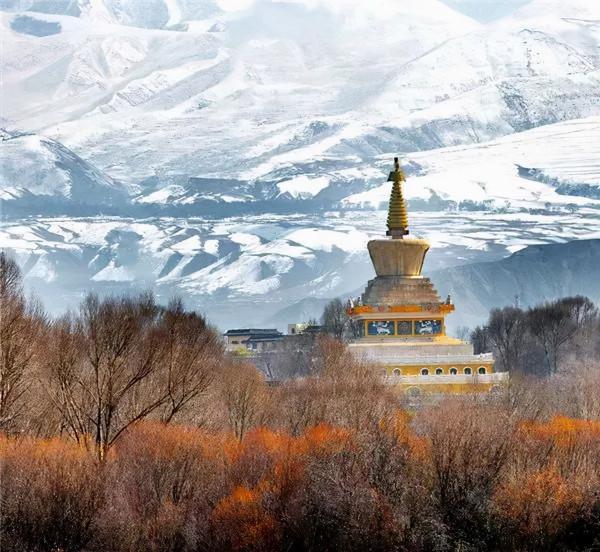 元旦不知道去哪裡玩，來青海看雪吧