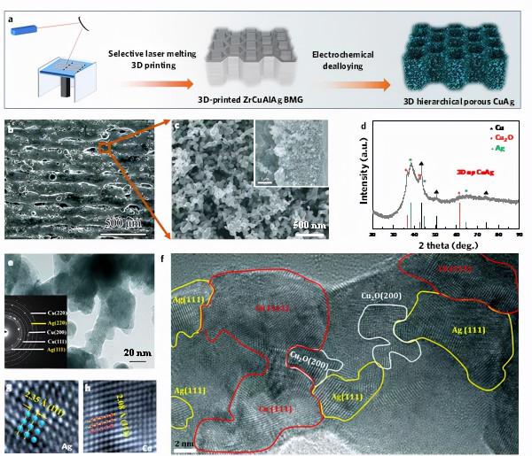 ​華中科大在3D列印分級多孔金屬及電催化還原CO2獲進展