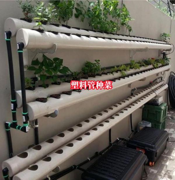 我也準備撿桶去了！把油桶收拾乾淨，裁成2半放院子裡，填土種菜