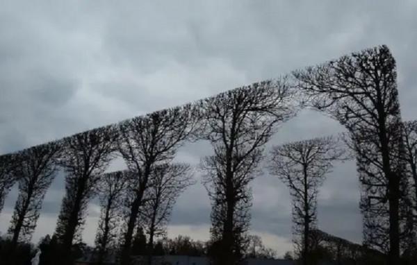 這36張照片,簡直是完美主義者的福音 這36張照片,簡直是完美主義者的福音