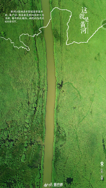 這就是黃河！九圖縱覽黃河有多壯觀