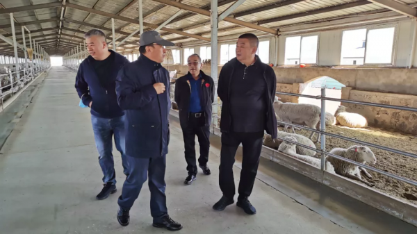 蒙牛原創業元老孫玉斌、行政總裁姚海濤、CFO吳景水到訪蒙天然 蒙牛原創業元老孫玉斌、行政總裁姚海濤、CFO吳景水到訪蒙天然