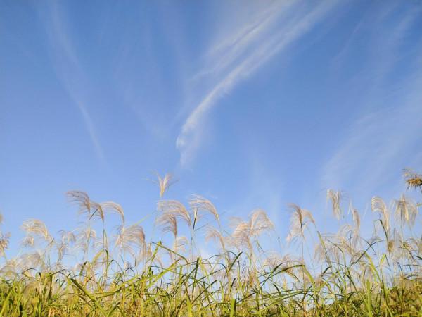 考古發現，殷都的毀滅蟬化為殷墟遺址，商都的重生孕育出中華文明