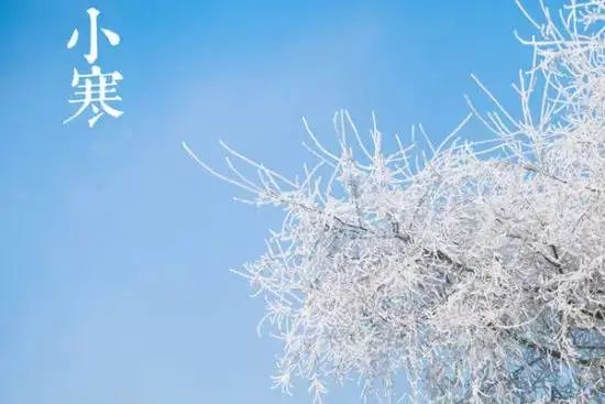 小寒時節，怎麼進行溫陽散寒呢？有哪些食療藥膳