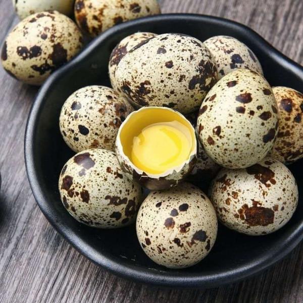 霜降後記得給孩子吃8種食物，增強抵抗力，價格不高，人人吃得起