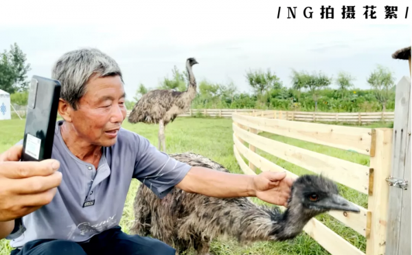 華為“影業”再進金雞｜側記第二屆華為新影像·金雞手機電影計劃