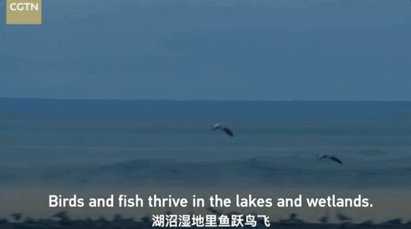 中國面積最大的國家公園,這片“人類禁區”終於限時開放了 中國面積最大的國家公園,這片“人類禁區”終於限時開放了