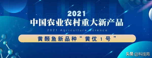 2021中國農業農村重大新產品 | 黃顙魚新品種“黃優1號”