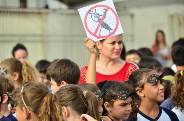 基因蚊子能消滅野生蚊子嗎？巴西用慘痛教訓給了我們答案