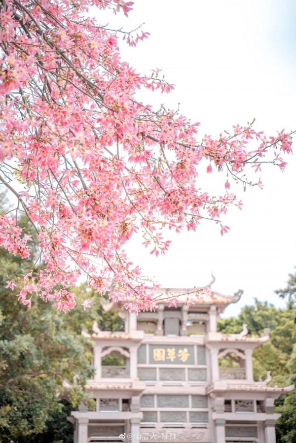 福建有你期待的“秋日物語”！快帶上相機出發吧~