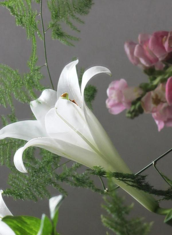 最常見的花卉種類 最常見的花卉種類