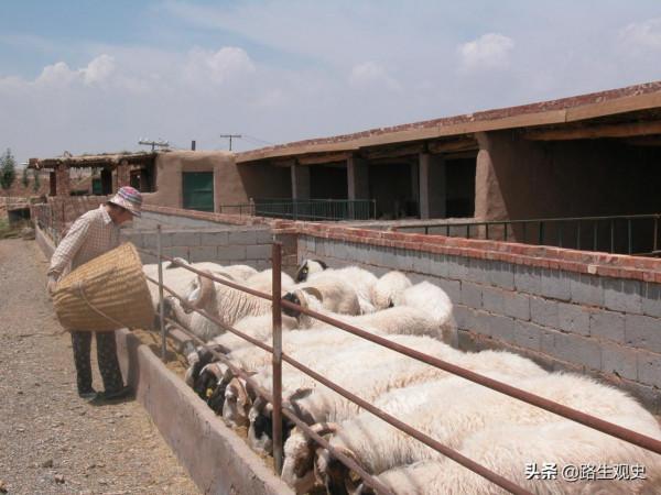 黑山峽水利工程對甘肅和寧夏有啥好處？當地百姓已經期盼了數十年
