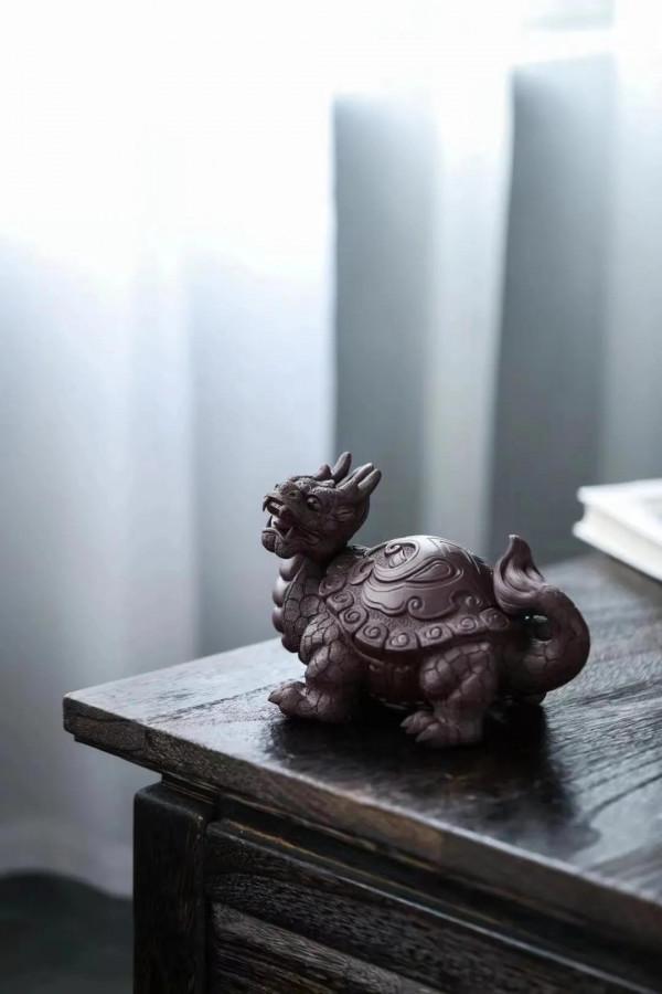 火焰龍龜，見過嗎？