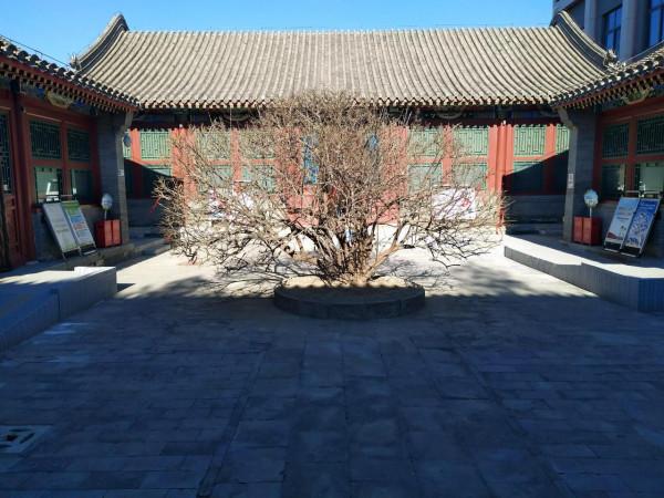 打卡北京通州博物館