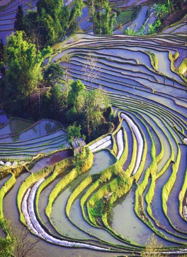 分享圖片——雲南風景如畫，美麗動人