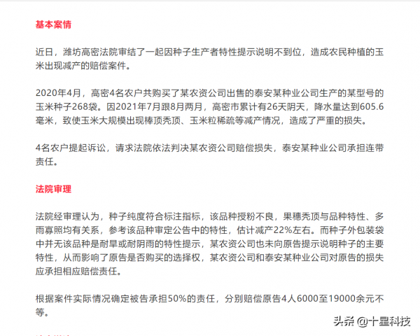 明年種玉米：科技素質高的人，要選“高抗莖腐病”的品種