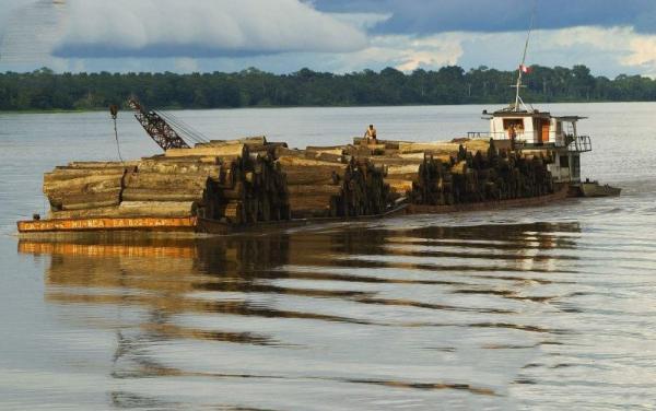 亞馬遜河有多可怕？1500萬人居住在附近，為什麼一座橋都不敢建？