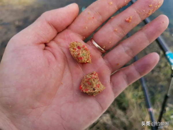 春釣灘最怕跑魚炸窩，胡亂補窩只會雪上加霜，老釣友都這樣做