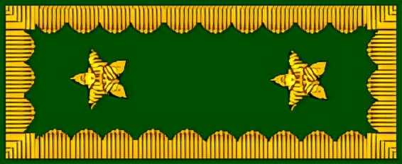 智利警銜標識 智利警銜標識