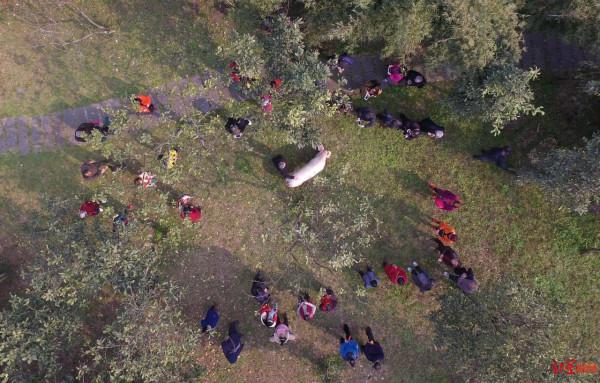 豬堅強永遠堅強!“豬型立牌”現身建川博物館 豬堅強永遠堅強!“豬型立牌”現身建川博物館