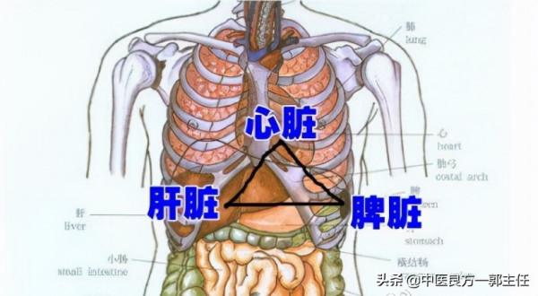 脾生病了，身體會有哪些異常表現？中醫辨病之脾病