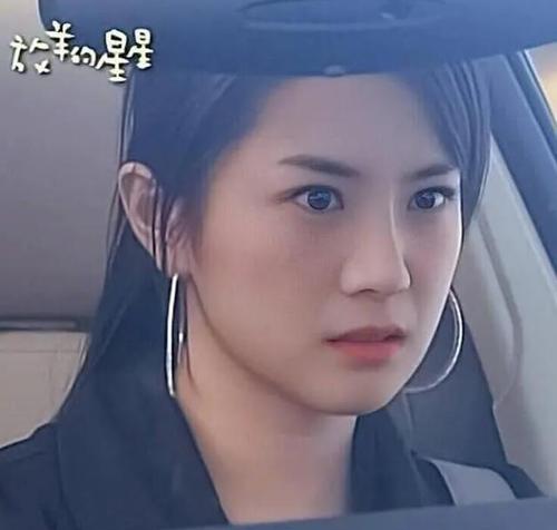 《放羊的星星》14年今昔對比：有人&OpenCurlyDoubleQuote;變臉&rdquo;，有人退圈做生意