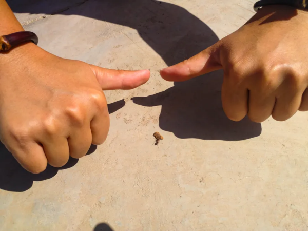 橫穿內蒙古，旅行接近尾聲