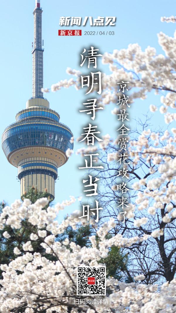 新聞8點見丨清明尋春正當時，京城最全賞花攻略來了