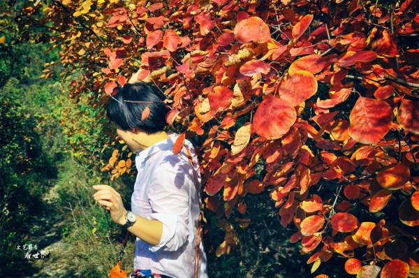 北京有一條“野香山”徒步線路，不僅有絕美紅葉，還藏著香山水庫