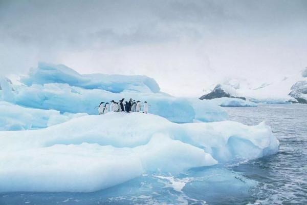 新研究!極地冰雪覆蓋對地球的影響有多大?科學家:南極帶不動了 新研究!極地冰雪覆蓋對地球的影響有多大?科學家:南極帶不動了