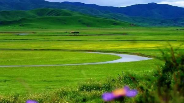 中國最美的9大草原，一輛車，三五好友，就可以馳騁在草原上