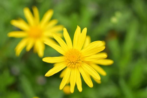 一年四季，這些“絕美”的瞬間你見到了嗎？