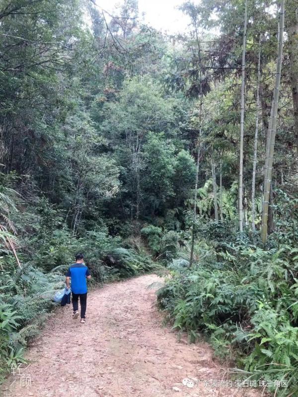 釣點 美景 魚獲——我們在路上（尋找溪釣 探釣點）