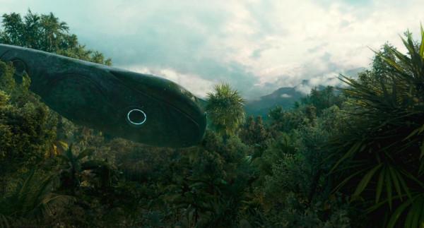 記憶&mdash;&mdash;這位蟄伏於熱帶雨林的天外來客終於飛遠了