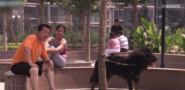 夫妻搬進新小區，被告知不讓養大型犬，藏獒竟咬舌自盡！國產片