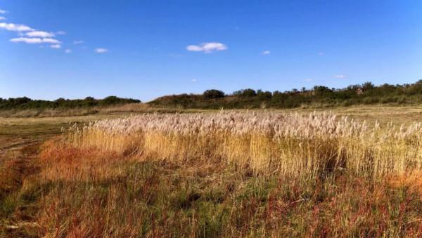 遊內蒙古的世界文化遺產-“元上都遺址”，覽清朝皇家寺院-匯宗寺