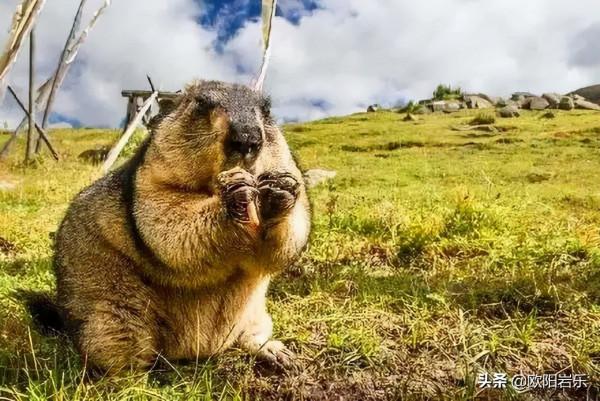 適合情侶的6處旅行地，帶TA一起去吧！浪漫時刻都會印在心底