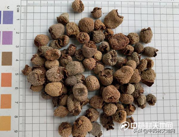 短短數月覆盆子行情上漲50%,資本力量還是供需矛盾? 短短數月覆盆子行情上漲50%,資本力量還是供需矛盾?