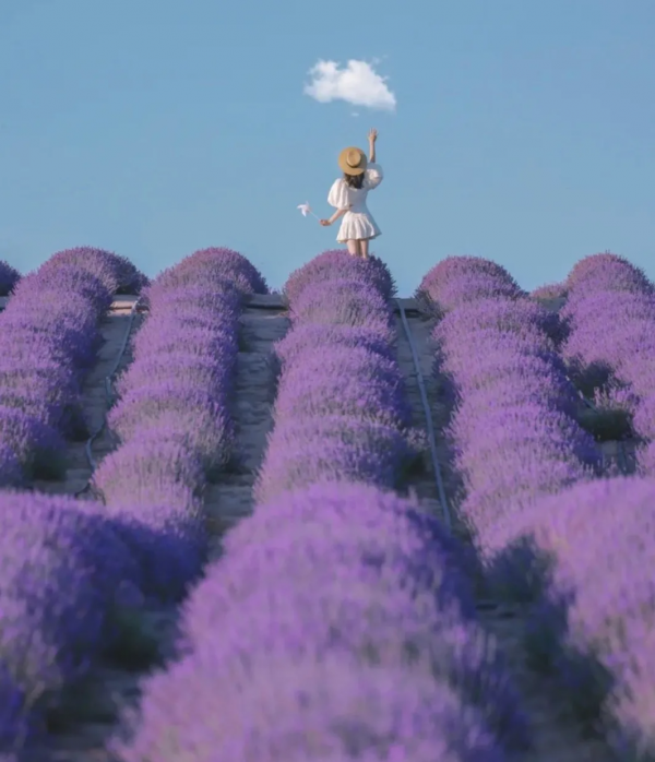 此生必去的新疆怎麼玩？看完這篇就夠了