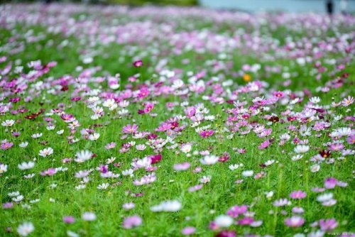 一個人的錢,都是有定數的 一個人的錢,都是有定數的