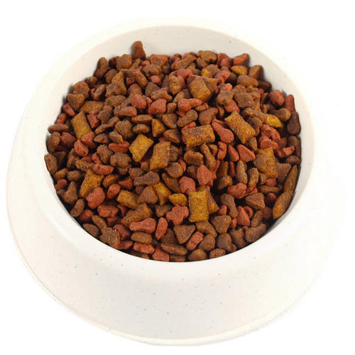 有貓糧為啥還要準備主食罐？從貓咪營養需求出發，乾糧是最後選擇