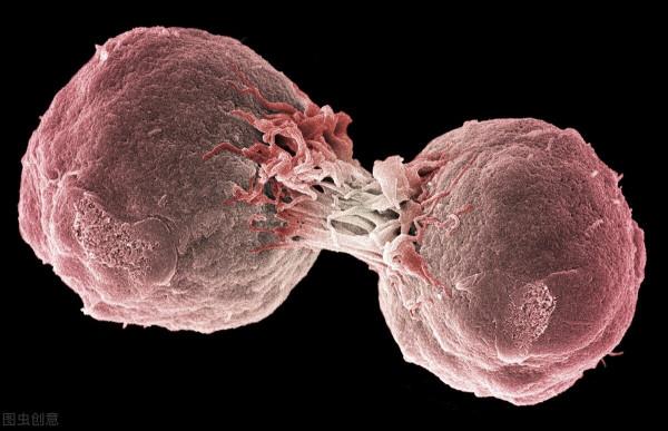 淋巴癌化療副作用大？教你5個方法，輕鬆應對副作用