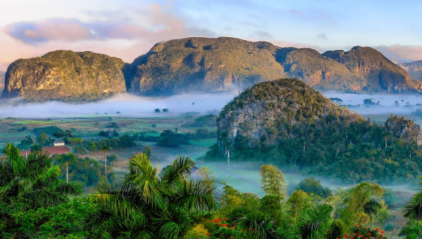 老謀深算，又隨性自在的星座，他們如同狐狸般狡猾，一直惹不起
